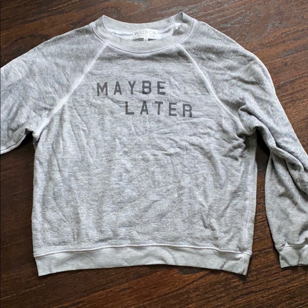 WILDFOX sweatshirt